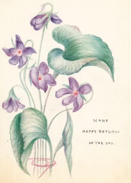 Framed Print : Mauve flowers on a hand-coloured birthday card Framed Print : Mauve flowers on a hand-coloured birthday card