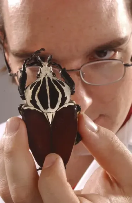 Framed Print : Max Barclay with beetle specimen Framed Print : Max Barclay with beetle specimen