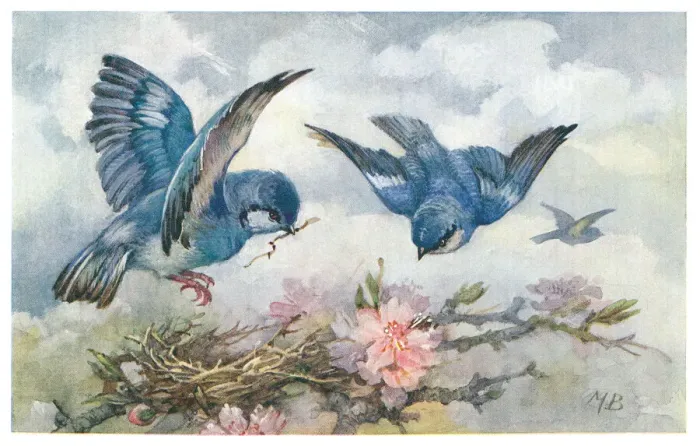 Framed Print : May Bowley Birds Framed Print : May Bowley Birds