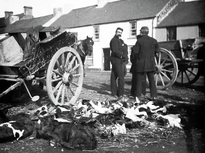 Framed Print : May Fair, Ballyclare, Ireland in 1883 Framed Print : May Fair, Ballyclare, Ireland in 1883