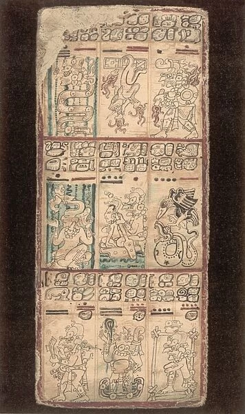 Mayan Manuscript