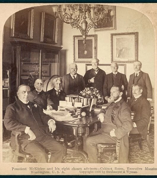Mckinley with Cabinet