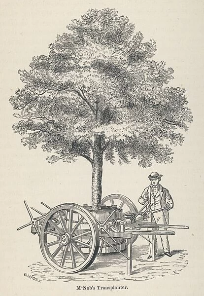 McNabs tree transplanter, as used in Edinburgh