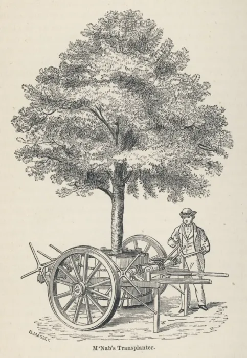 Framed Print : McNabs tree transplanter, as used in Edinburgh Framed Print : McNabs tree transplanter, as used in Edinburgh