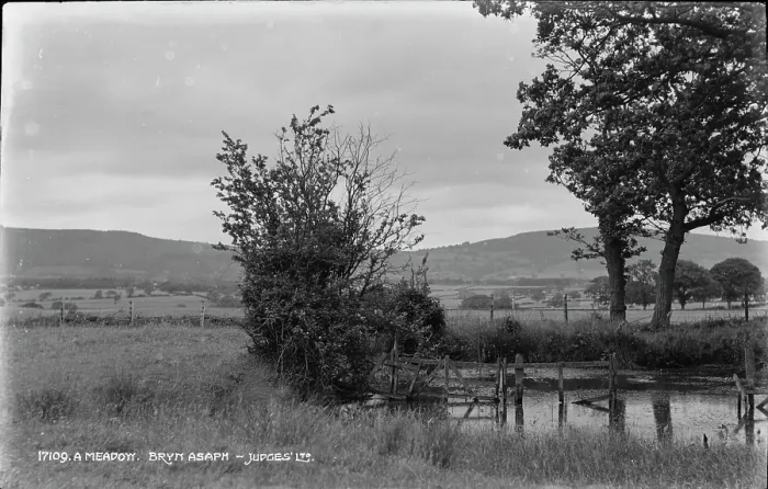 Framed Print : A Meadow at Bryn Asaph Framed Print : A Meadow at Bryn Asaph