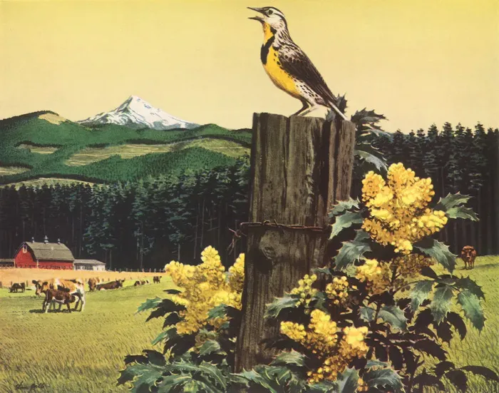 Framed Print : Meadowlark in Valley Date: 1954 Framed Print : Meadowlark in Valley Date: 1954