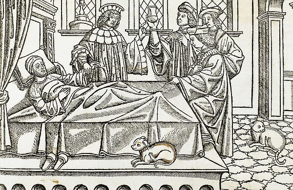 Medical History. Doctors with a patient. Engraving. 16th cen