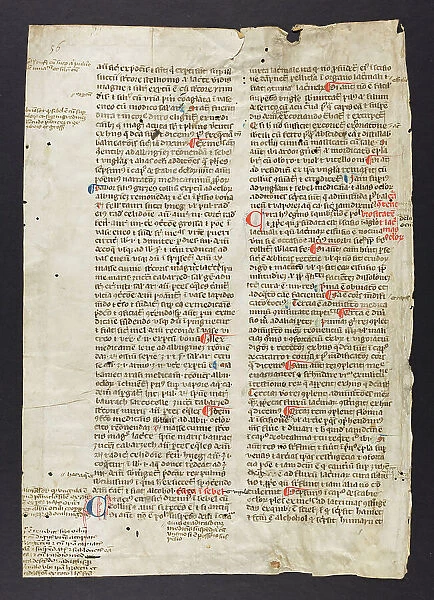 Medical Text (Pietro D'Abano?) (Fragment)