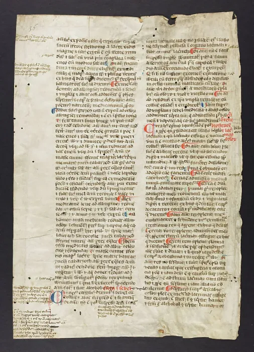 Framed Print : Medical Text (Pietro D'Abano?) (Fragment) Framed Print : Medical Text (Pietro D'Abano?) (Fragment)