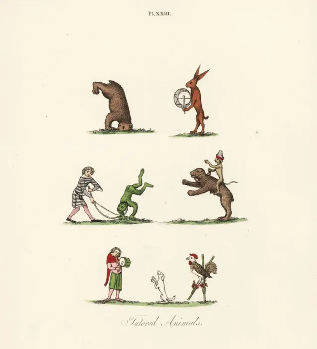 Framed Print : Medieval trained animals Framed Print : Medieval trained animals