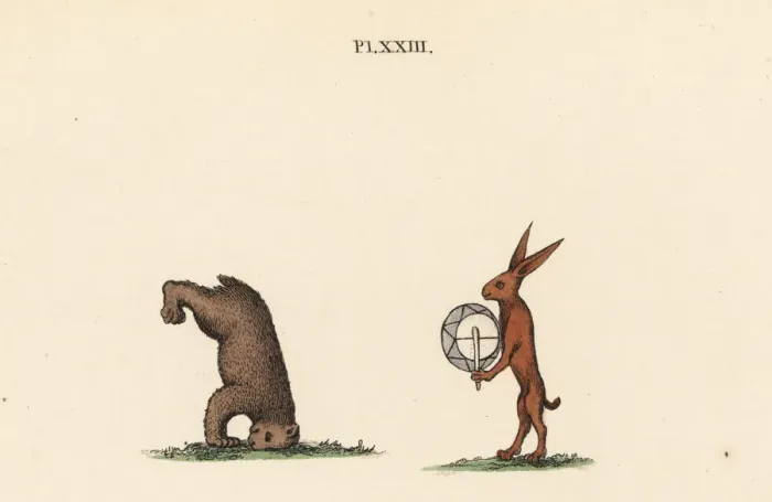 Framed Print : Medieval trained animals Framed Print : Medieval trained animals
