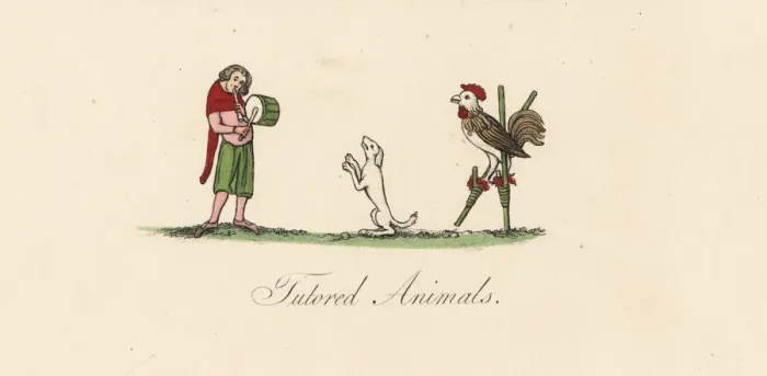 Framed Print : Medieval trained animals Framed Print : Medieval trained animals