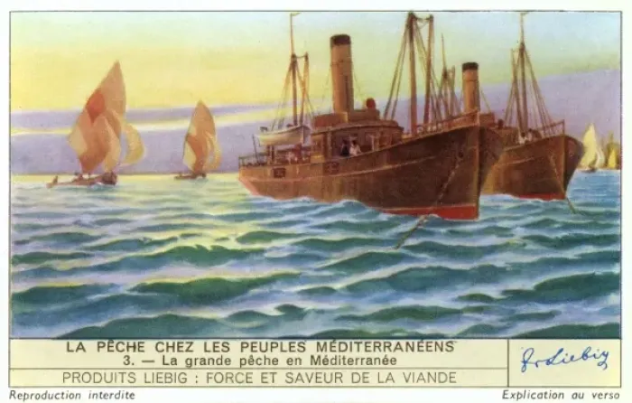 Framed Print : Mediterranean Steamers Framed Print : Mediterranean Steamers