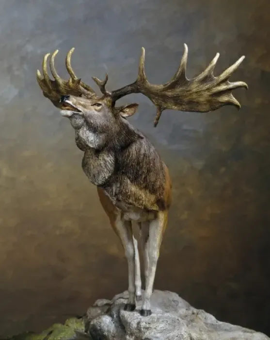 Framed Print : Megaloceros gigantius, giant deer Framed Print : Megaloceros gigantius, giant deer