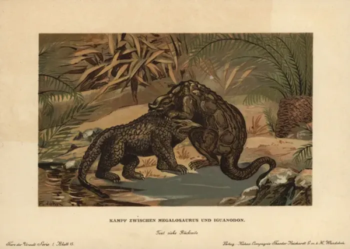 Framed Print : Megalosaurus, extinct carnivorous theropod Framed Print : Megalosaurus, extinct carnivorous theropod