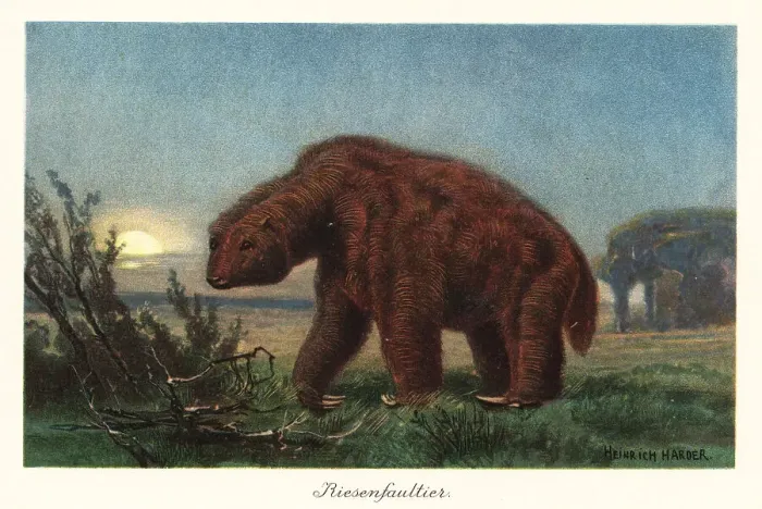 Framed Print : Megatherium americanum in the moonlight Framed Print : Megatherium americanum in the moonlight