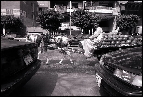 Melon seller with donkey Cairo, Egypt. Date: 1980s