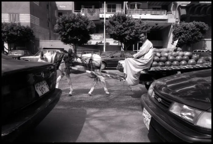 Framed Print : Melon seller with donkey Cairo, Egypt. Date: 1980s Framed Print : Melon seller with donkey Cairo, Egypt. Date: 1980s