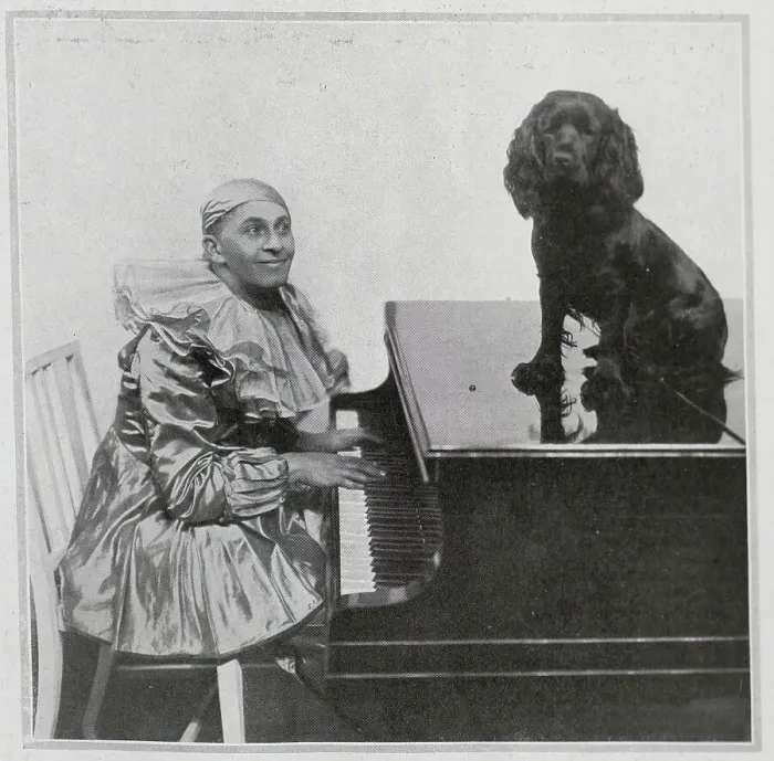 Framed Print : Melville Gideon at the Piano Framed Print : Melville Gideon at the Piano