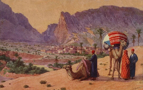 Men with camels