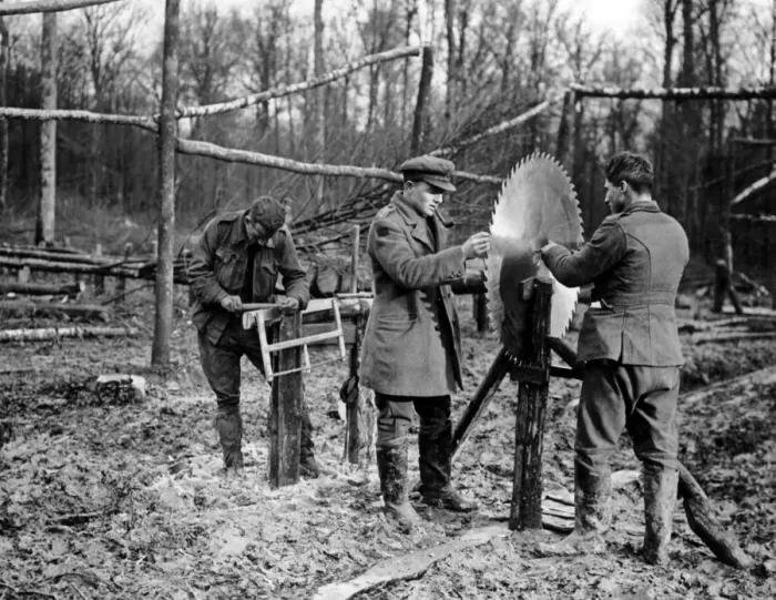 Framed Print : Men with circular saw, Western Front, WW1 Framed Print : Men with circular saw, Western Front, WW1