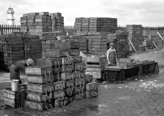 Framed Print : Men with crates of fish on quayside Framed Print : Men with crates of fish on quayside