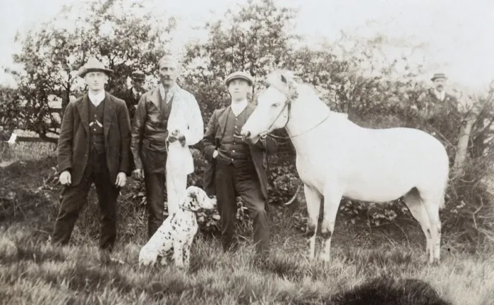 Framed Print : Three men with dalmatian and pony Framed Print : Three men with dalmatian and pony