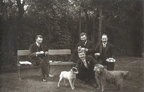 Four men and two dogs in a garden