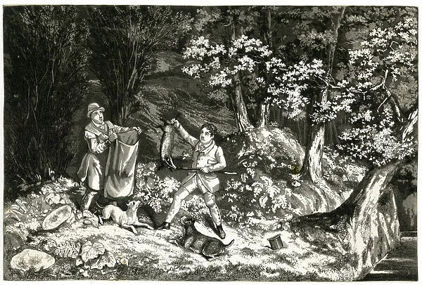 Two men with dogs, hunting badgers in a wood