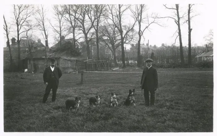 Framed Print : Two men with four dogs, North London suburbs Framed Print : Two men with four dogs, North London suburbs
