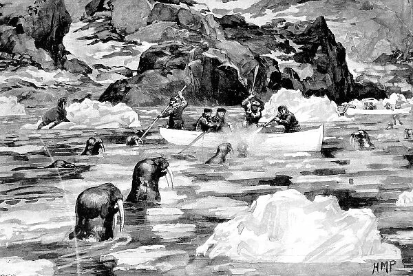 Men of the Jackson-Harmsworth Polar Expedition hunting walru