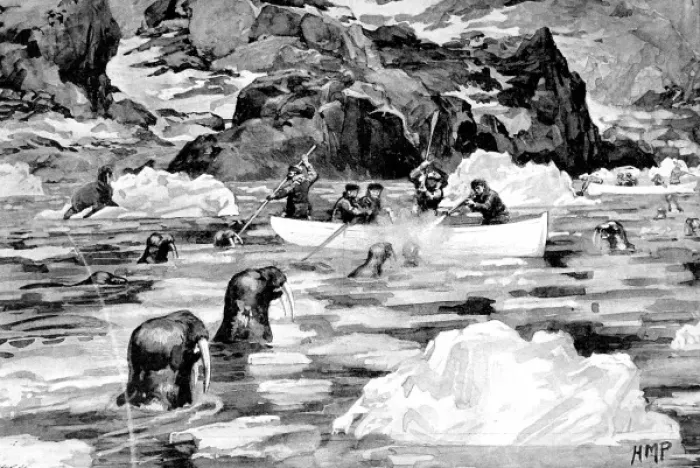 Framed Print : Men of the Jackson-Harmsworth Polar Expedition hunting walru Framed Print : Men of the Jackson-Harmsworth Polar Expedition hunting walru