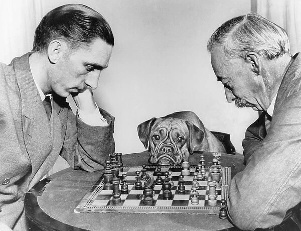Two men playing chess, watched by a boxer dog