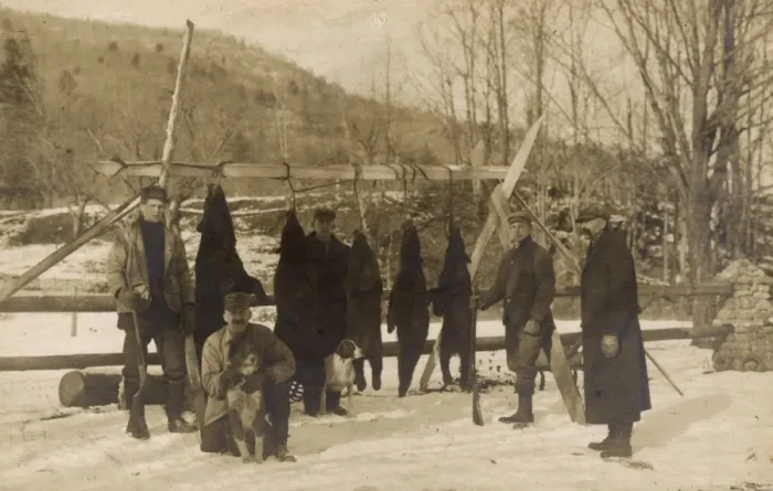 Framed Print : Men with rifles, black bears and dogs, USA Framed Print : Men with rifles, black bears and dogs, USA