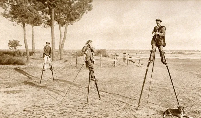 Framed Print : Men on stilts in Les Landes, south west France Framed Print : Men on stilts in Les Landes, south west France