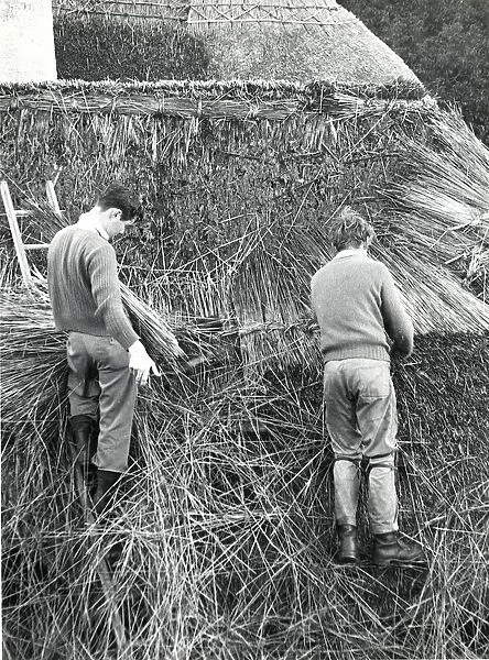 Two men thatching a roof, Lamorna Cove, Cornwall