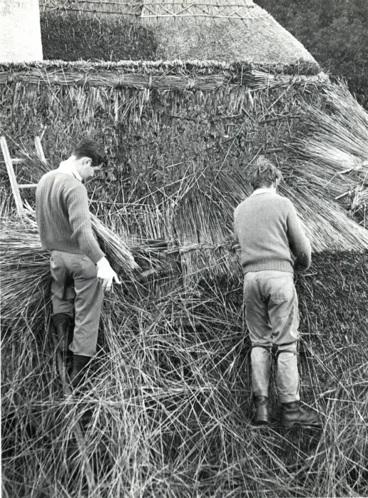Framed Print : Two men thatching a roof, Lamorna Cove, Cornwall Framed Print : Two men thatching a roof, Lamorna Cove, Cornwall