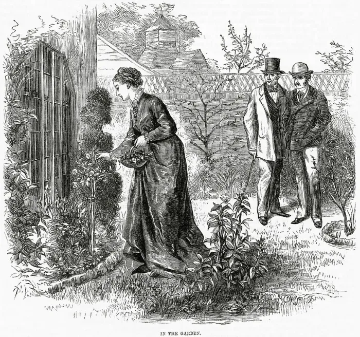 Framed Print : Two men watch with interest as a lady picks roses Date: 1872 Framed Print : Two men watch with interest as a lady picks roses Date: 1872