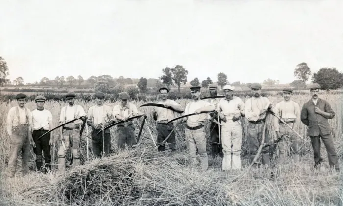 Framed Print : Twelve men went to mow Framed Print : Twelve men went to mow