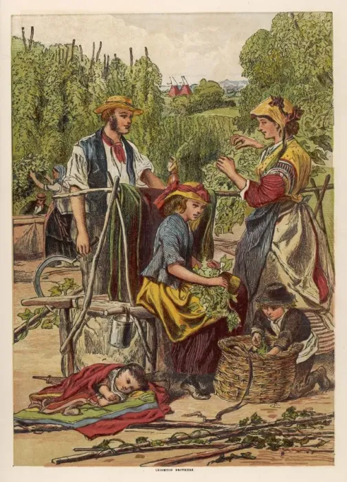 Framed Print : Men Women and Children Hop Picking Framed Print : Men Women and Children Hop Picking