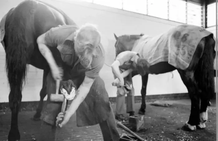 Framed Print : Men at work on horses hooves Framed Print : Men at work on horses hooves