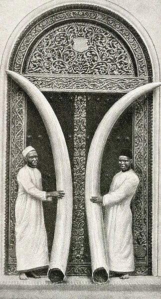 Men of Zanzibar holding large tusks, Tanzania, East Africa
