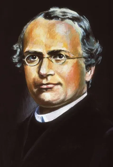 Framed Print : Mendel, Gregor Johann (1822-1884) Framed Print : Mendel, Gregor Johann (1822-1884)