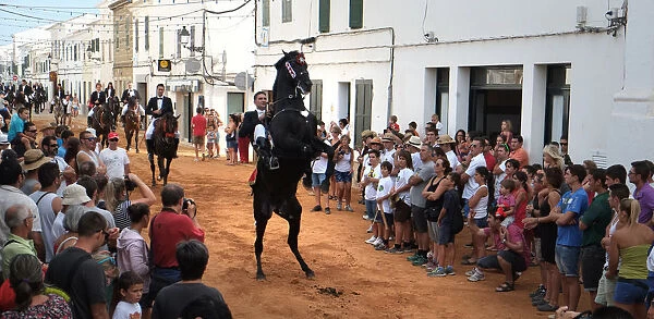 Menorcan horses in the fiesta, or jaleo, Sant Lluis, Menorca