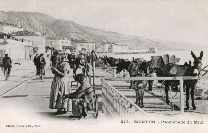 Framed Print : Menton, France - Promenade de Midi - Mules on the beach Framed Print : Menton, France - Promenade de Midi - Mules on the beach