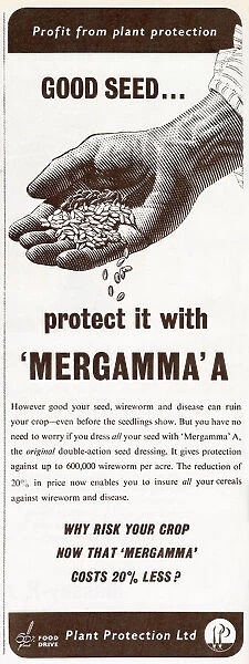 Mergamma pesticide advert, 1954