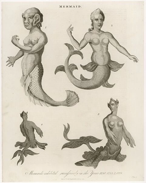 Mermaids in London. Mermaids exhibited in London in 1758, 1775 and 1794