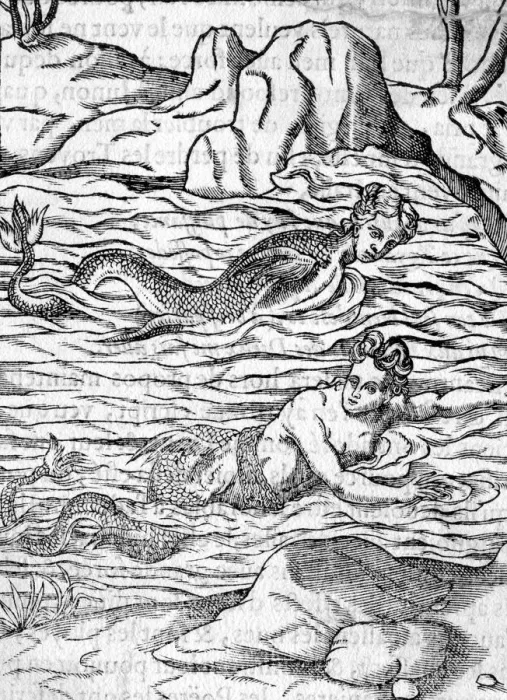 Framed Print : MERMAIDS IN WATER