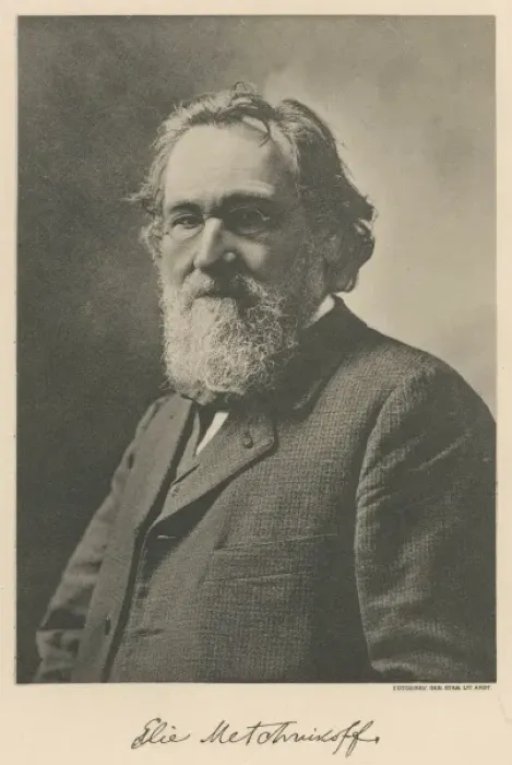 Framed Print : Metchnikoff / Nobel 1908 Framed Print : Metchnikoff / Nobel 1908