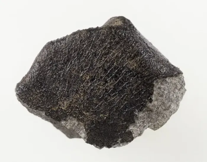 Framed Print : Meteorite. The fusion crust is a thin coating that may be glassy or matte in appearance Framed Print : Meteorite. The fusion crust is a thin coating that may be glassy or matte in appearance